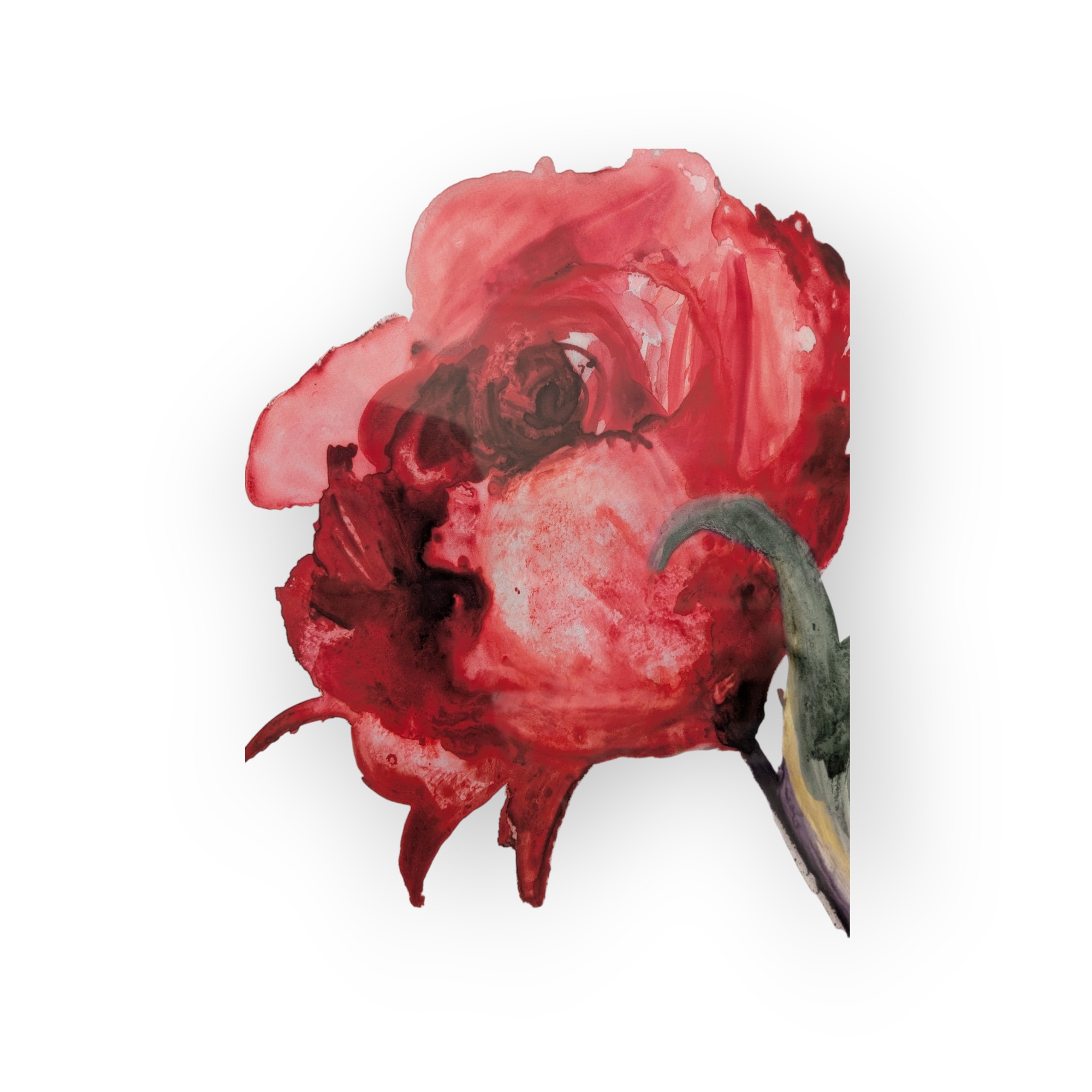 Pair of Red Floral Watercolor Prints – Image 3