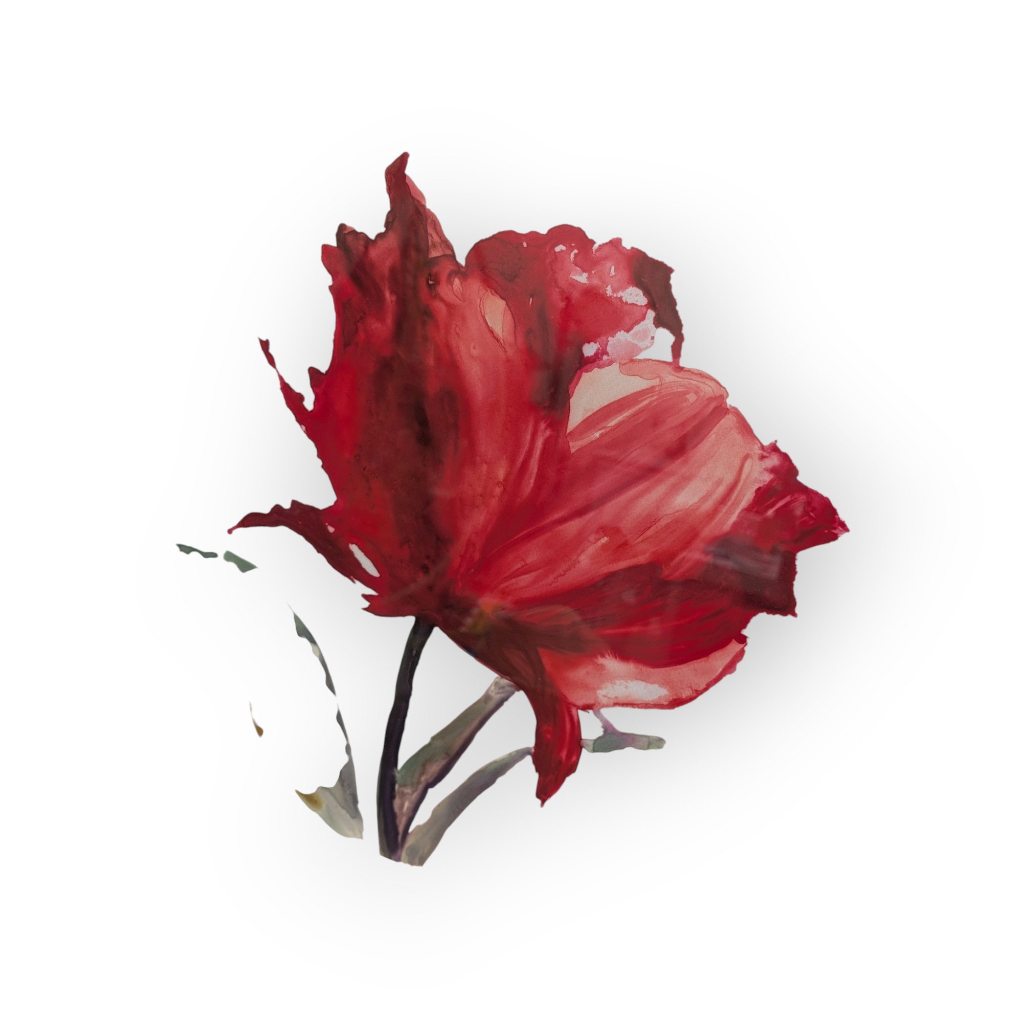Pair of Red Floral Watercolor Prints – Image 5