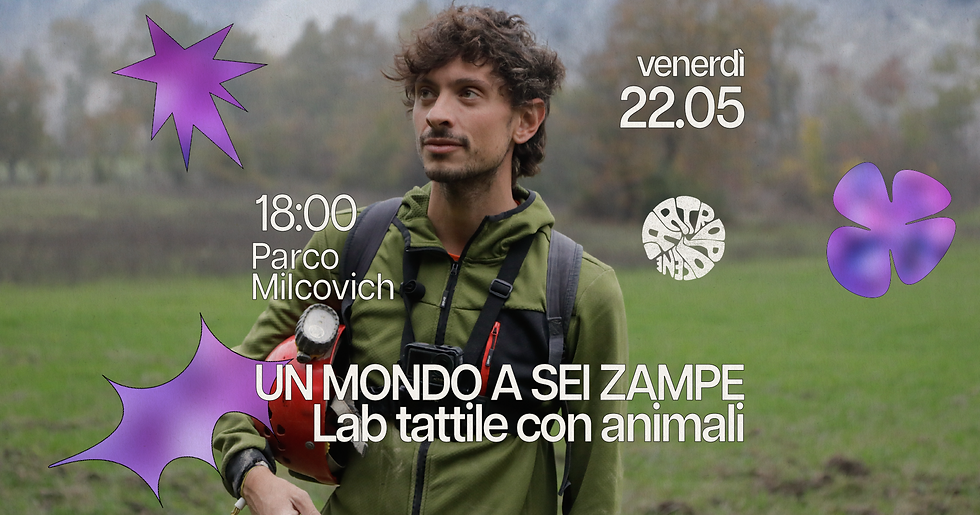 Arcella Bella • Un mondo a sei zampe • Artropocene Festival preview
