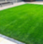 Lush green lawn to explore the work of our projects