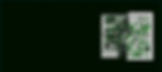 excel1_edited.jpg