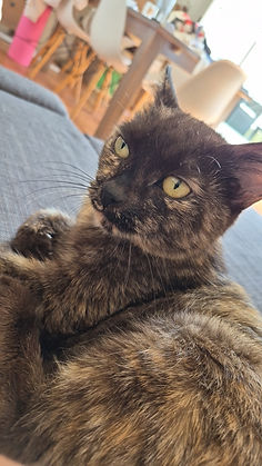 Minette