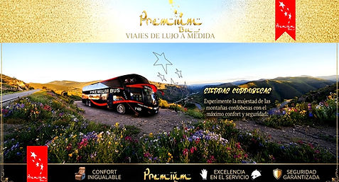 Premium Bus