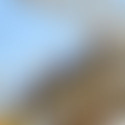 Do you know if you have secure title over your plant and supplies on a construction site?