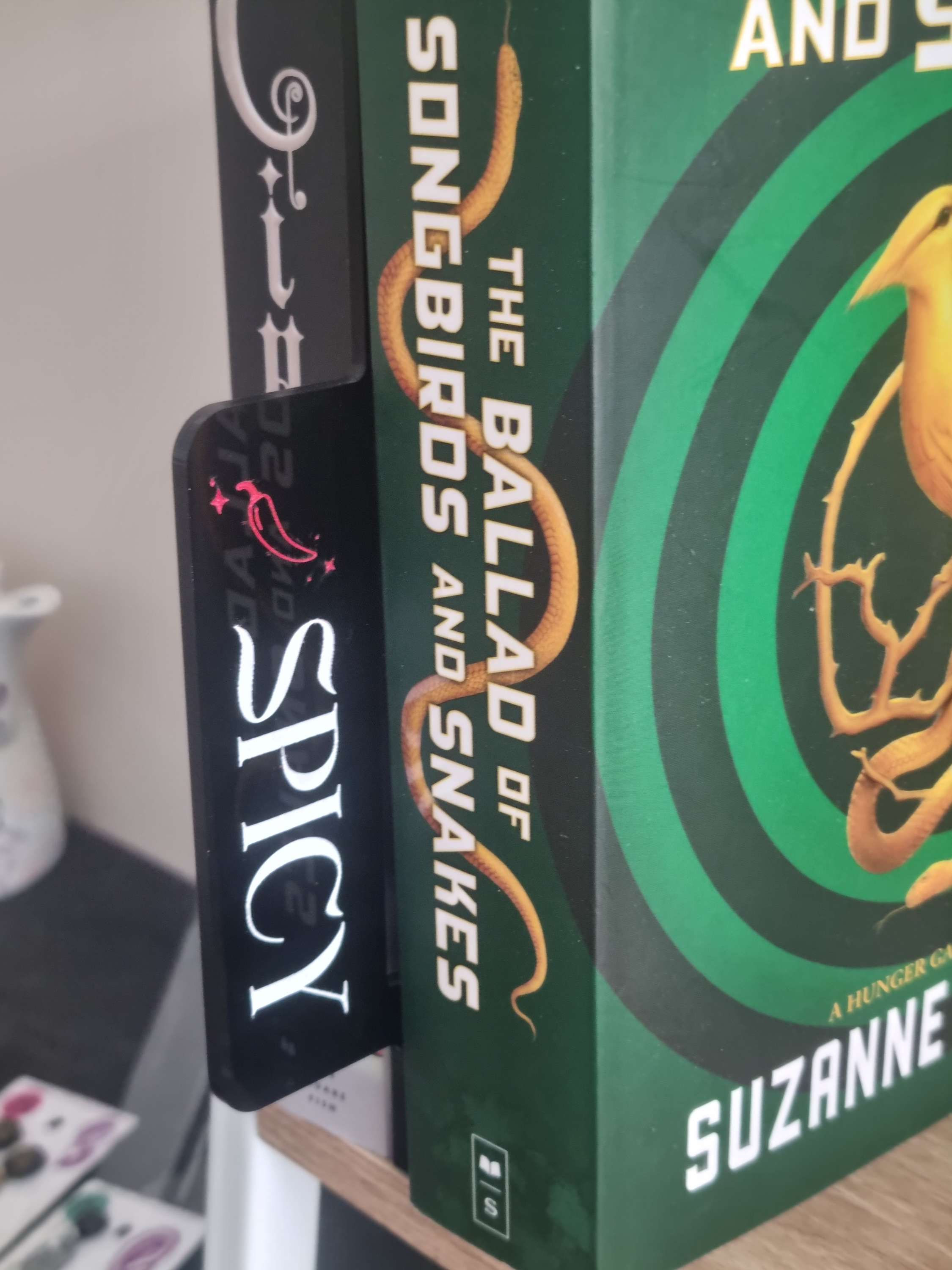 Spicy Bookshelf Divider