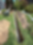 french drain