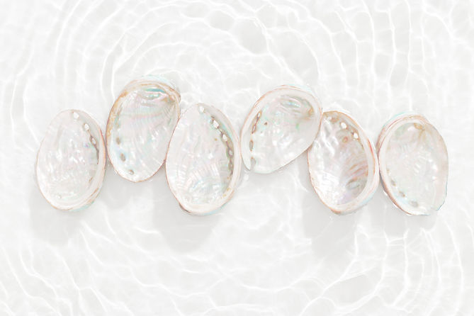 Colored closeup shells floating on waves clear white sea water at sunlight Beauty nature t