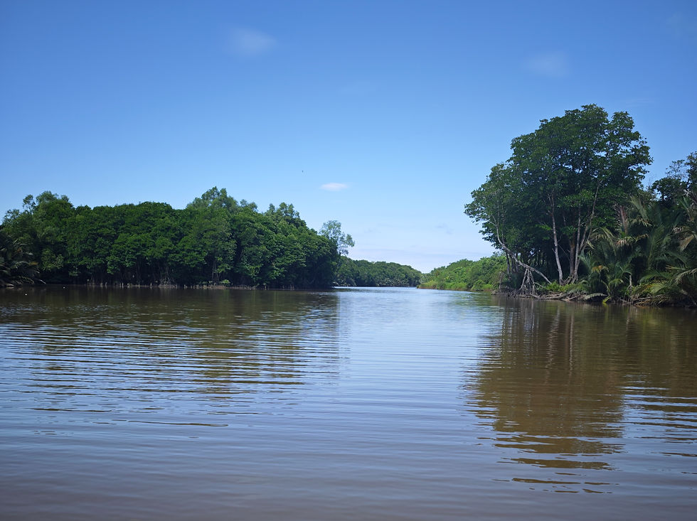 The heart and soul of Brunei is the river. Water taxis transport locals and tourists alike to different communities and connects to the capital city. I took an early morning taxi cruise to spot wildlife.