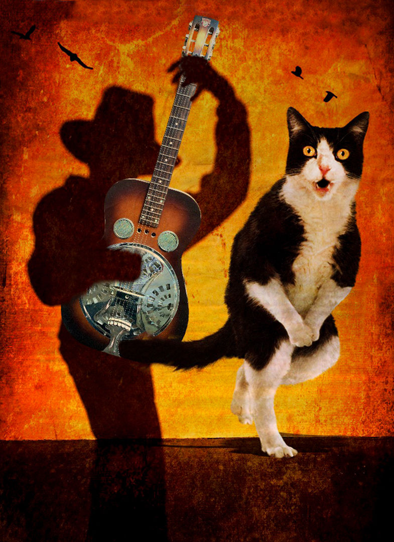 Beverly Brock "Shadow Plays for the Cat"