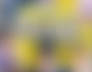 “How Do You Play?” Mengumumkan Mundurnya Jung Joon Ha, Shin Bong Sun, dan PD Park Chang Hoon