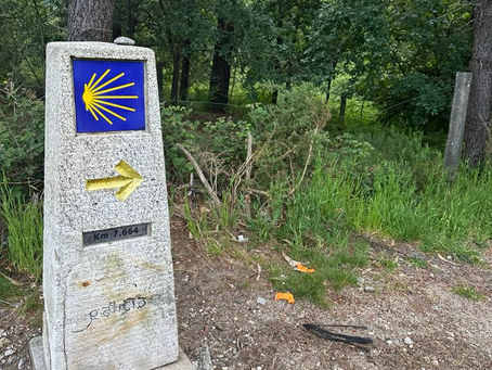 Camino Chronicles: Days 11-13