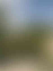 View from our Coach through Bosnia