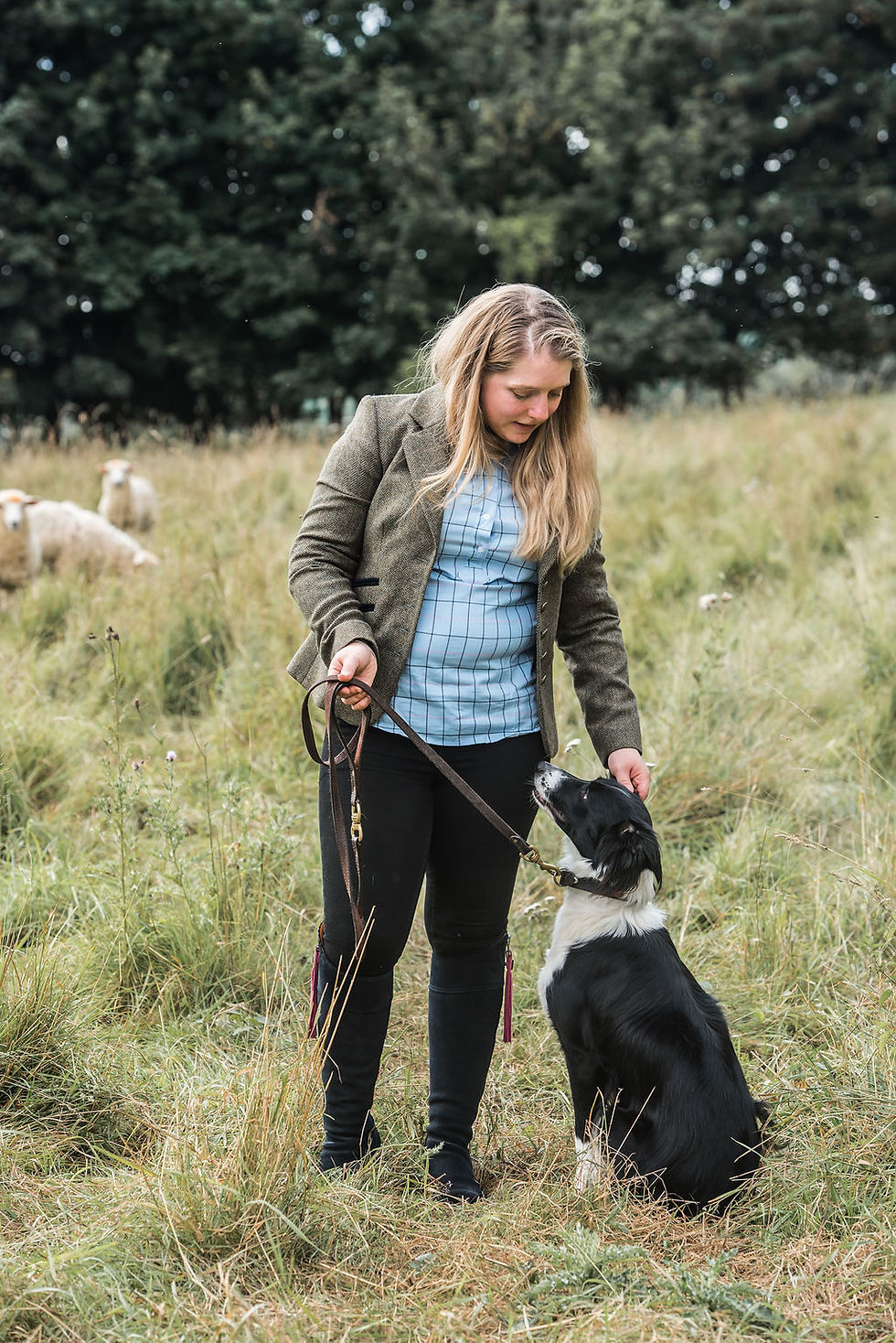 Five things you didn't know about British Agriculture