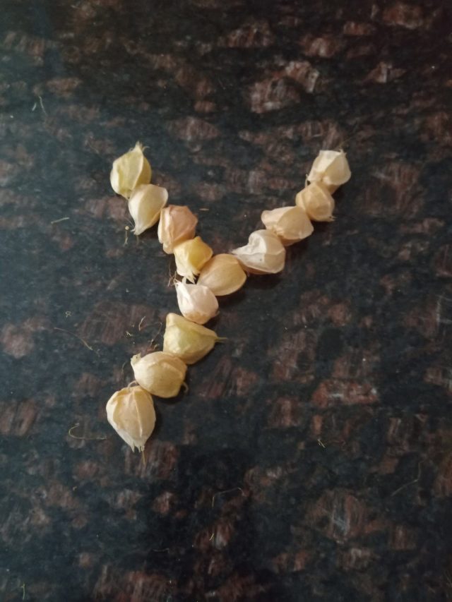 Letter y