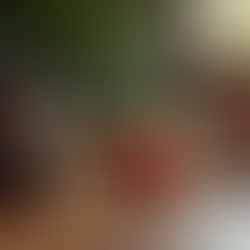 Mastering the /oe/ Sound Through Fun Words, Sentences, and Exercises