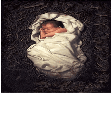 Christmas Mass at Dawn, The Nativity of the Lord, Psalm and Gospel, Year B