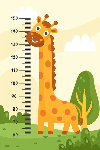 Measurement