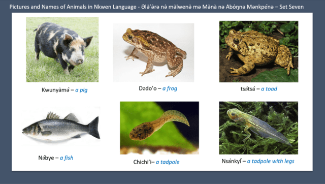 Pictures and Names of Animals in Nkwen Language - Ə̀lǝ̀’ǝ̀rǝ nǝ̀ mǝ̀lwenǝ̀ mǝ Mǝ̀nà nǝ Àbòŋnǝ Mǝnkpènǝ – Set Seven