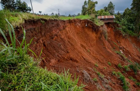 Revision on Erosion, plant care and soil