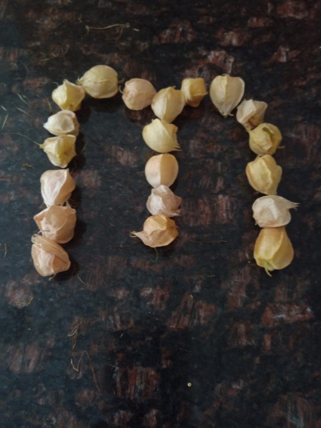 Letter m