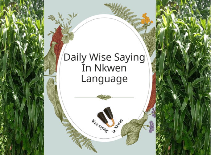 Today’s Wise Saying In Nkwen – Wisdom Of The Old For The Month Of June