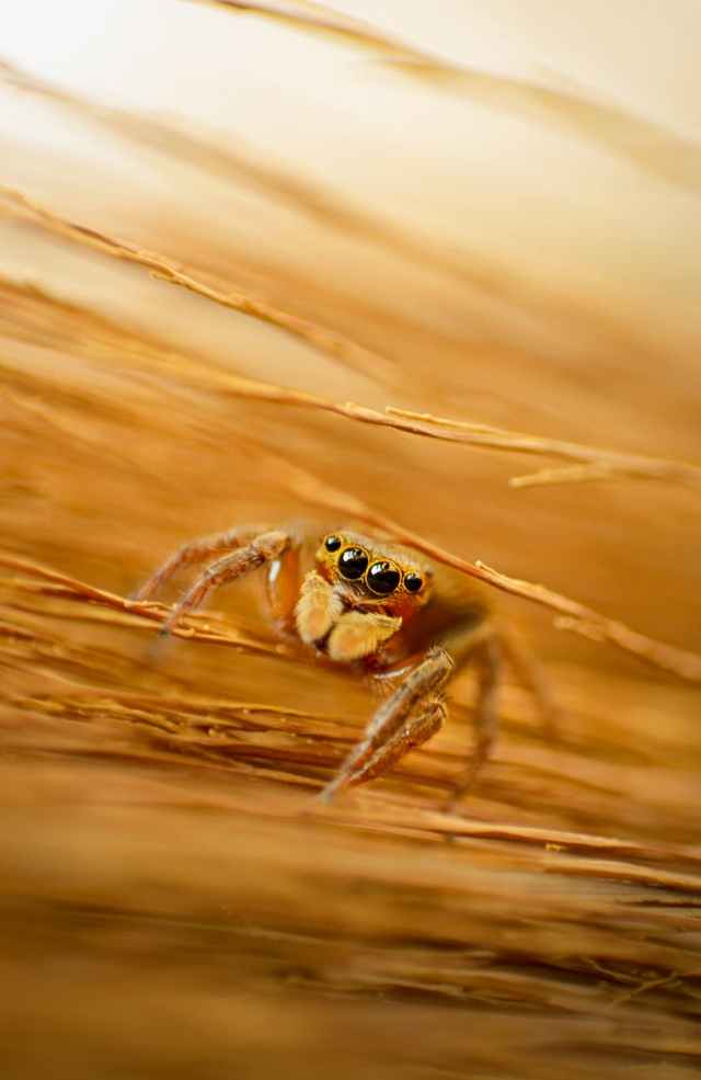 Photo by Aenic on Pexels.com