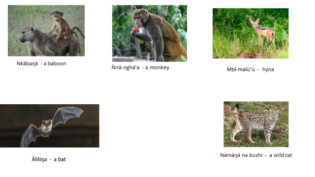 image-6