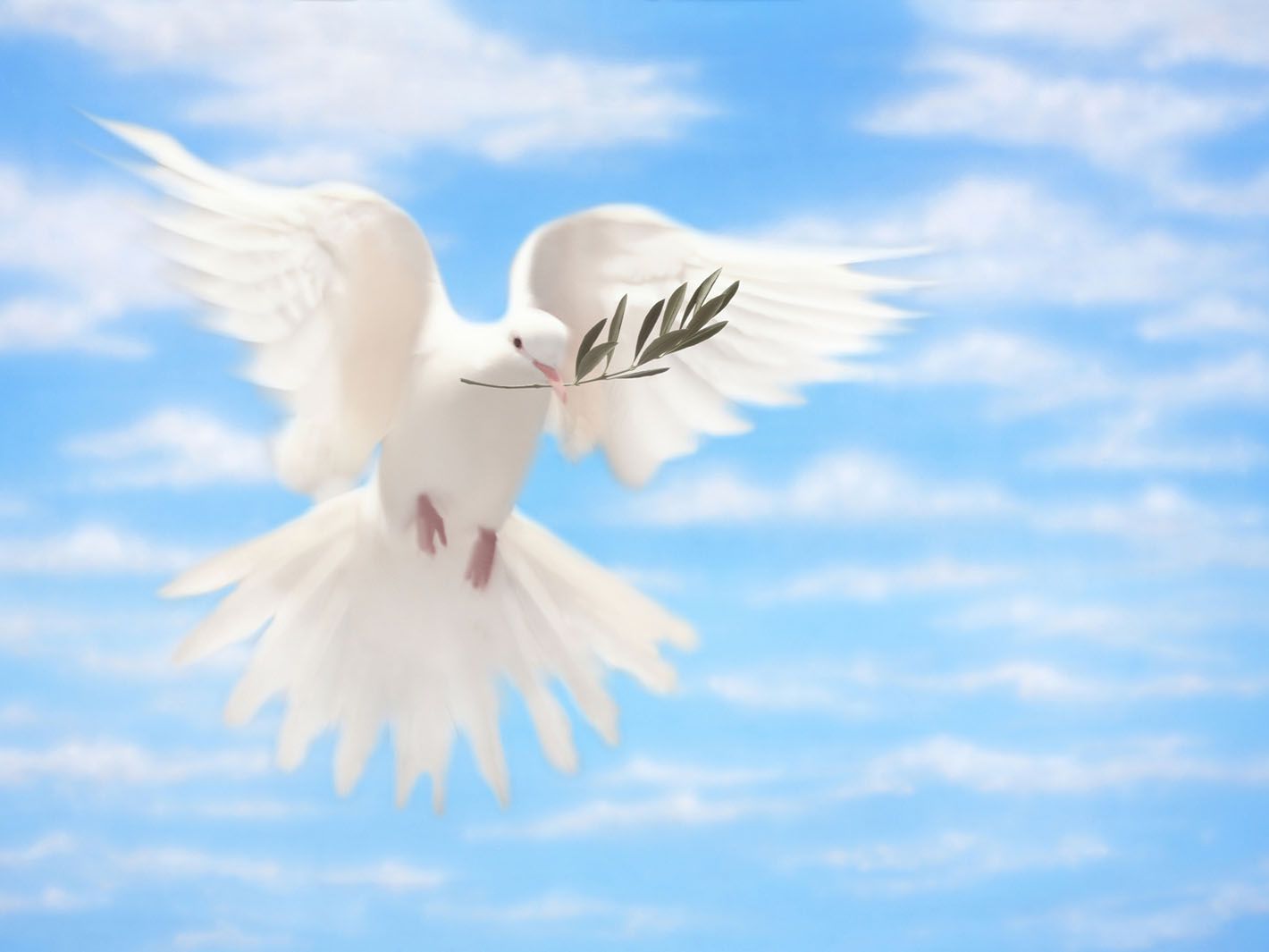 Responsorial Psalm for Pentecost Sunday 2022