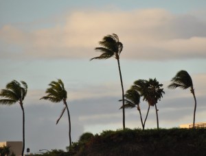 Wind blowing