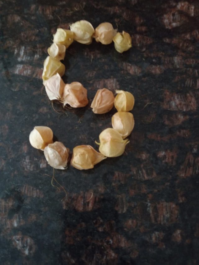 Letter s