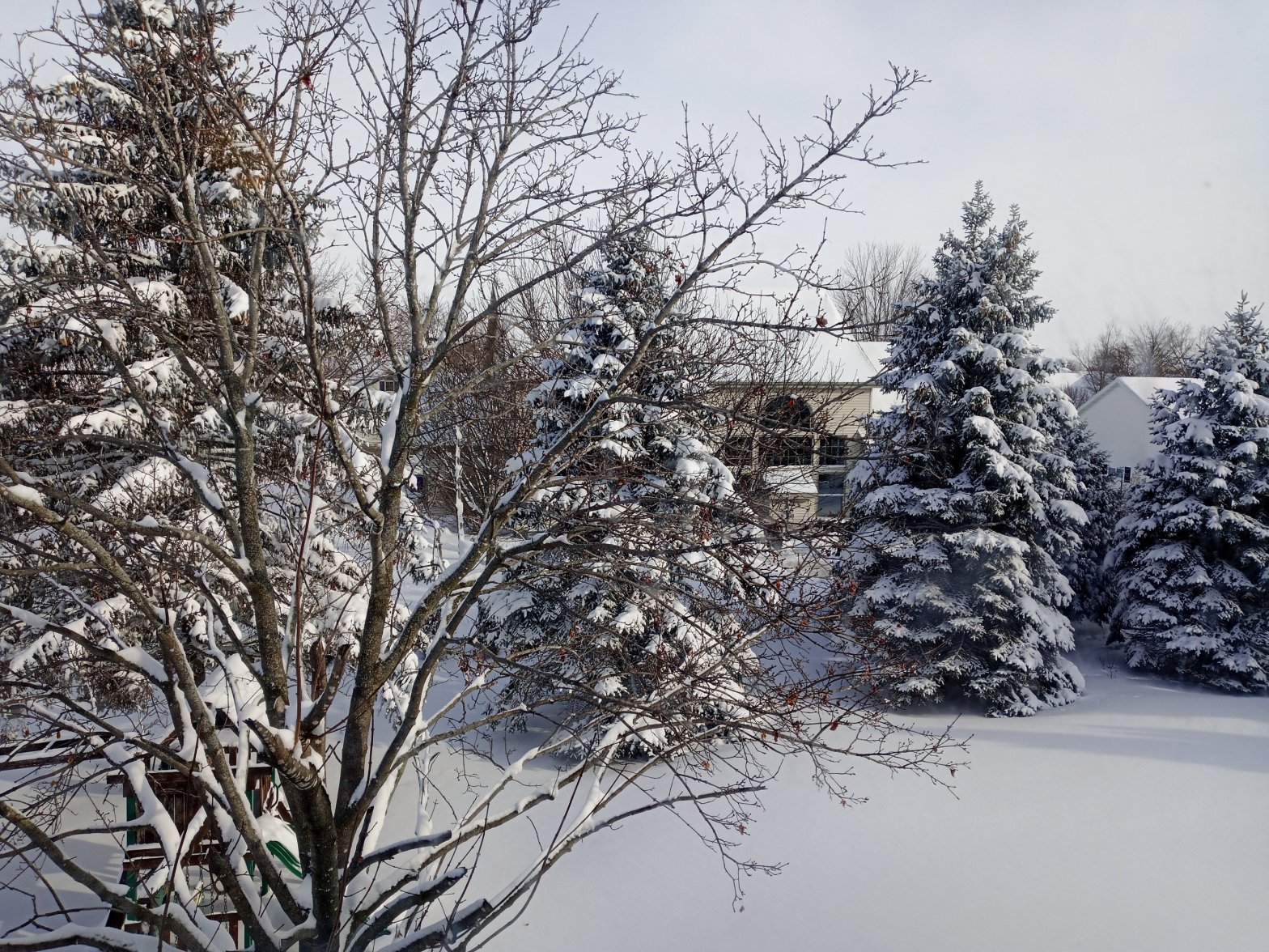 Snow and the environmenrt