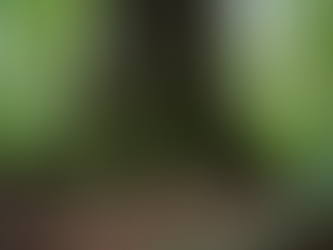 Mastering the /ee/ sound in English: Words, sentences, and fun exercises