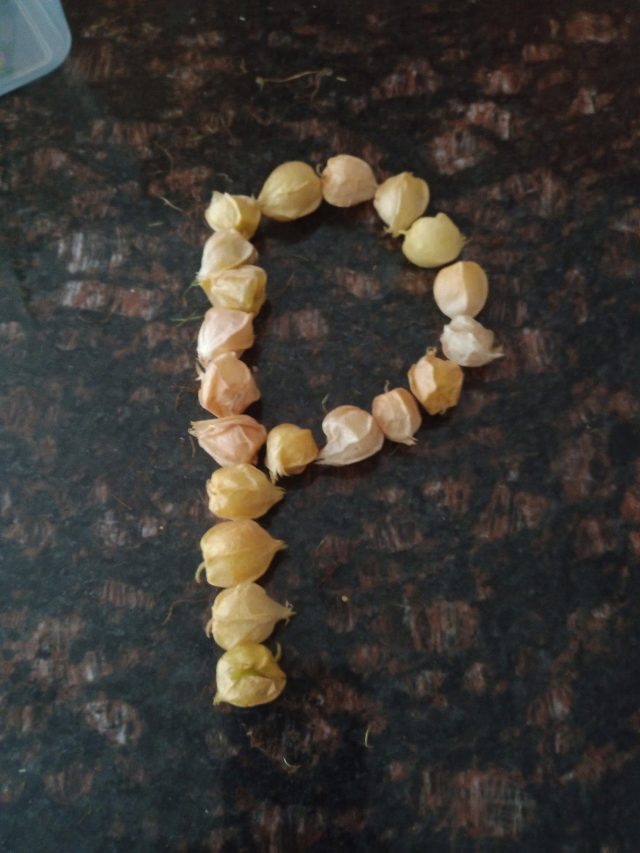 Letter p
