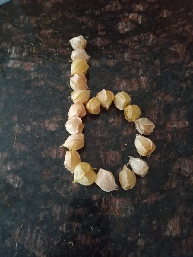 Letter b