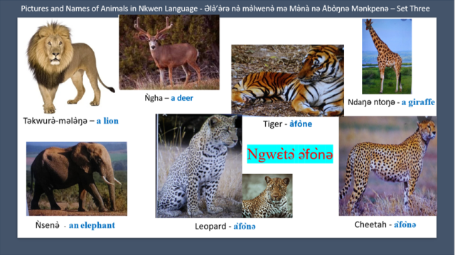 Pictures and Names of Animals in Nkwen Language - Ə̀lǝ̀’ǝ̀rǝ nǝ̀ mǝ̀lwenǝ̀ mǝ Mǝ̀nà nǝ Àbòŋnǝ Mǝnkpenǝ – Set Three