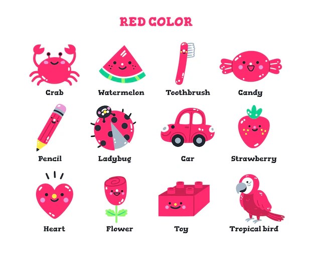 Outline Of The Educational content of the Kindergarten Class