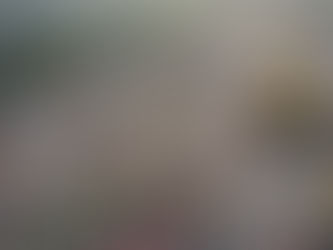 Pollution Of The Environment Revision for kids 4 through 12