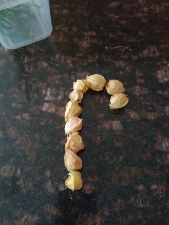 Letter r