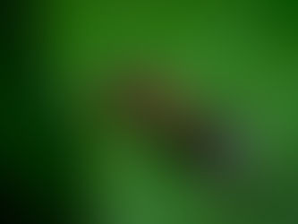 The /f/ sound in Nkwen Language