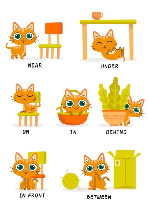 Prepositions - Outline Of The Educational content of the Kindergarten Class