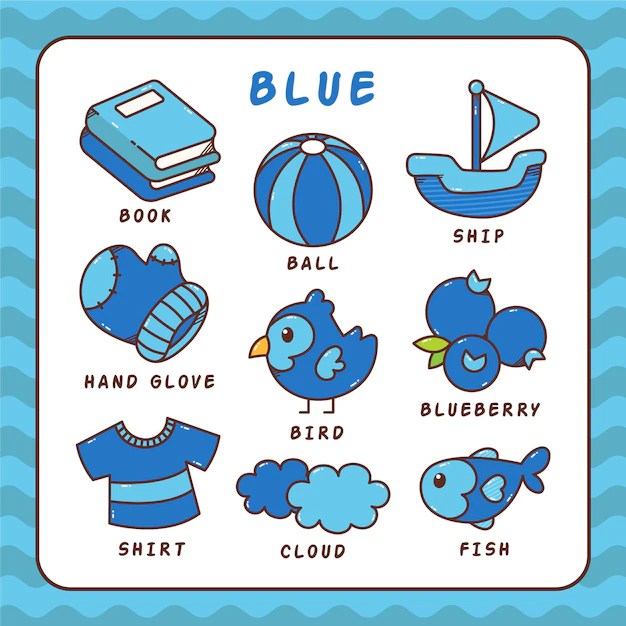 Content of the Kindergarten Class