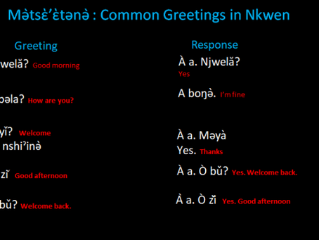 Nkwen Language Lessons Online Part 1; Mother Tongue Education