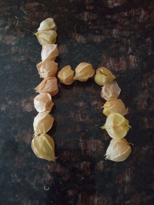 Letter j