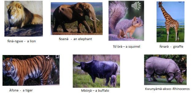 General Knowledge Revision On Wild Animals