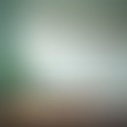 Understanding US Elementary Curriculum Standards