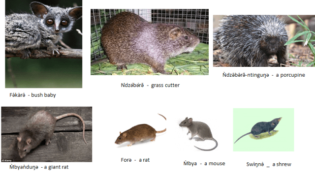 image-5