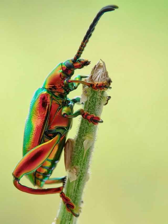 Photo by Bambang Suryadi on Pexels.com