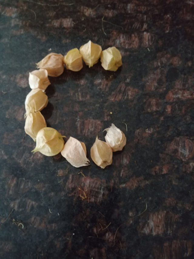 Letter c