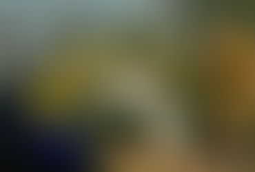 Palm Sunday Passion of Our Lord Year B