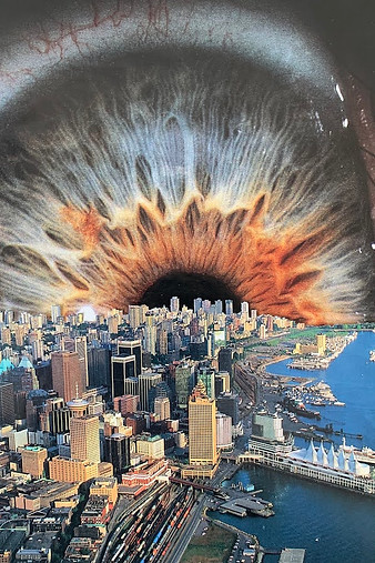 the eye.jpeg